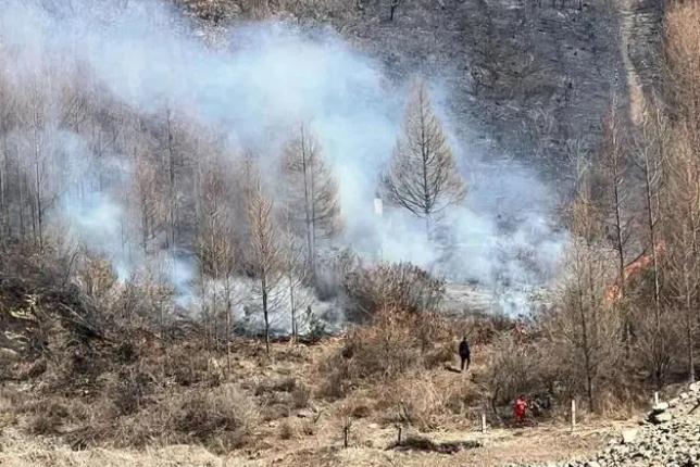 明火已撲滅，初步判斷由祭祀用火引發(fā)！今年已發(fā)生多起